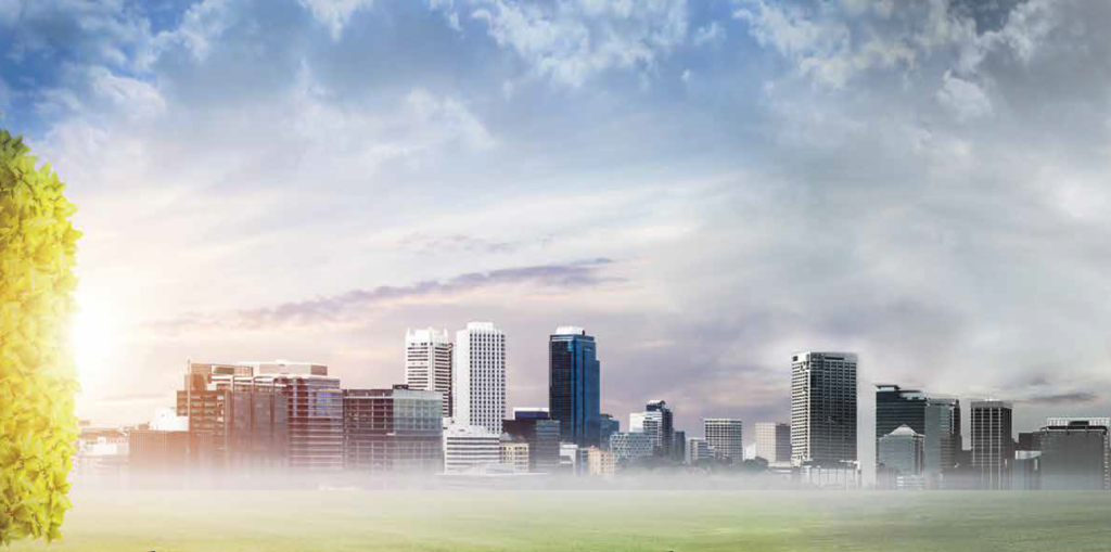 2. المدينة تنمو بسرعة