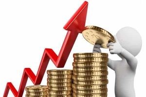 فوائد الاستثمار فى وحدة ادارية